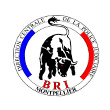 Brigade de recherche et d'intervention Brigade de recherche et d'intervention Nos success stories (Ecussons - Patchs, Badges, Pin's, Drapeaux)