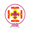 Scouts de France Scouts de France Nos success stories (Ecussons - Patchs, Badges, Pin's, Drapeaux)